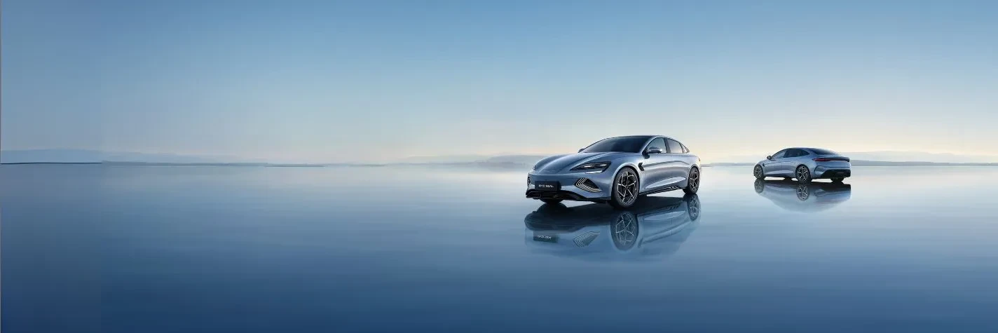 ag尊龙 Auto elettriche