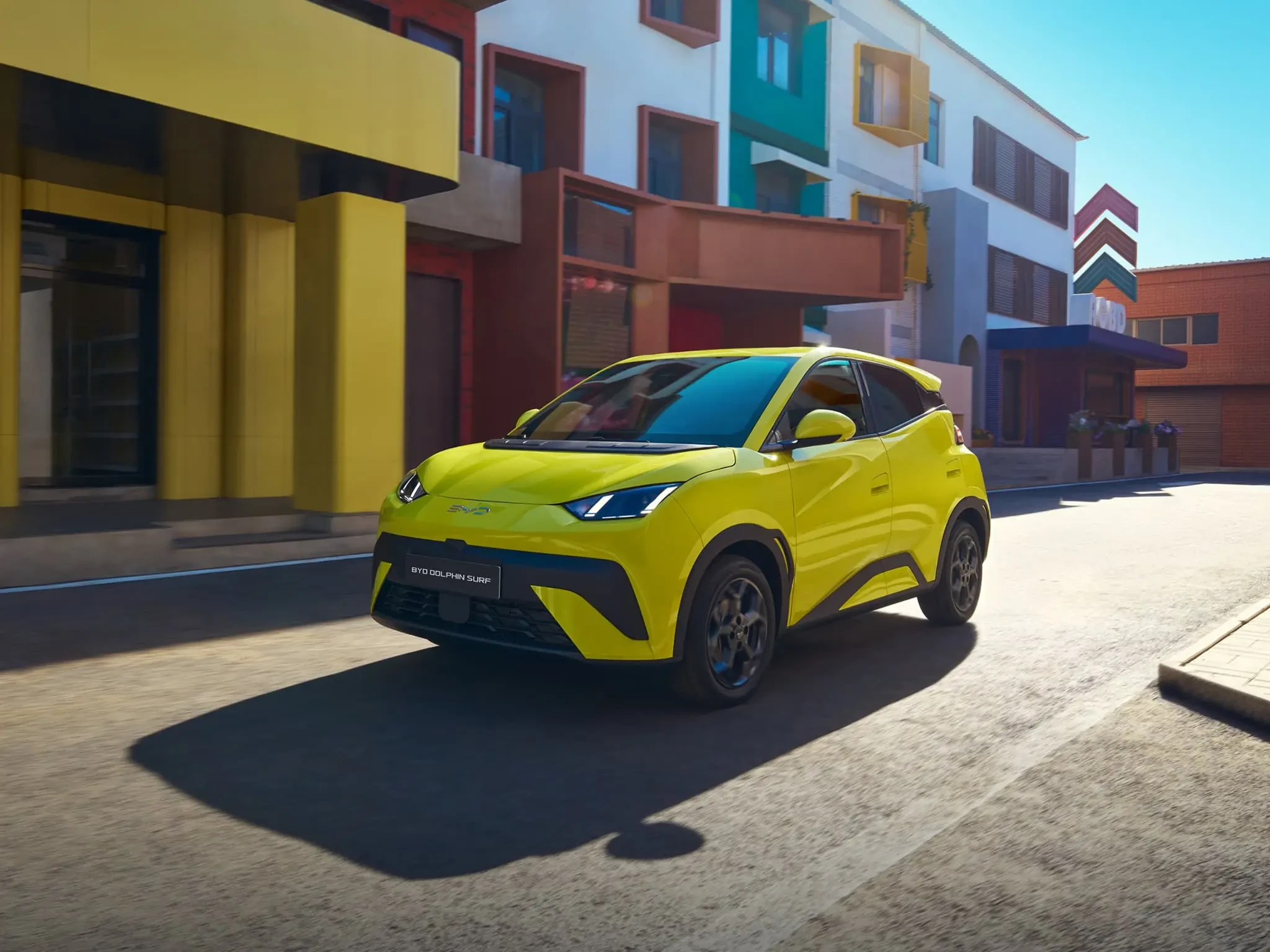 ag尊龙 DOLPHIN SURF